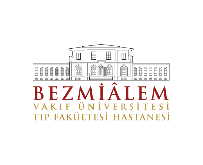 Bezmi Alem Vakıf Üniversitesi